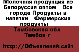 Молочная продукция из Белоруссии оптом - Все города Продукты и напитки » Фермерские продукты   . Тамбовская обл.,Тамбов г.